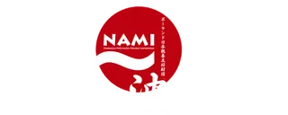 Logo Fundacja NAMI