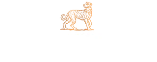 Logo Tullamore D.E.W.